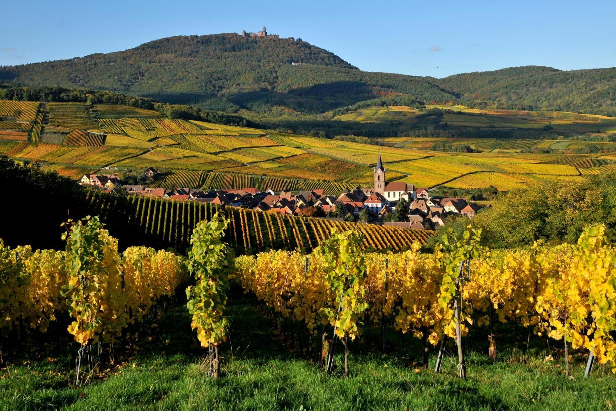 Gite chez Marianne et Marcel Ebersheim Esterno foto
